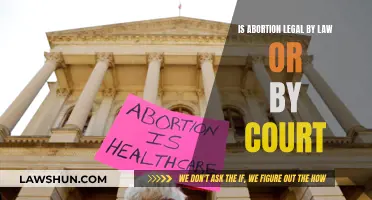 Abortion Legality: Law, Court, and Complexities