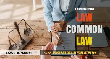 Administrative Law: Common Law's Influence