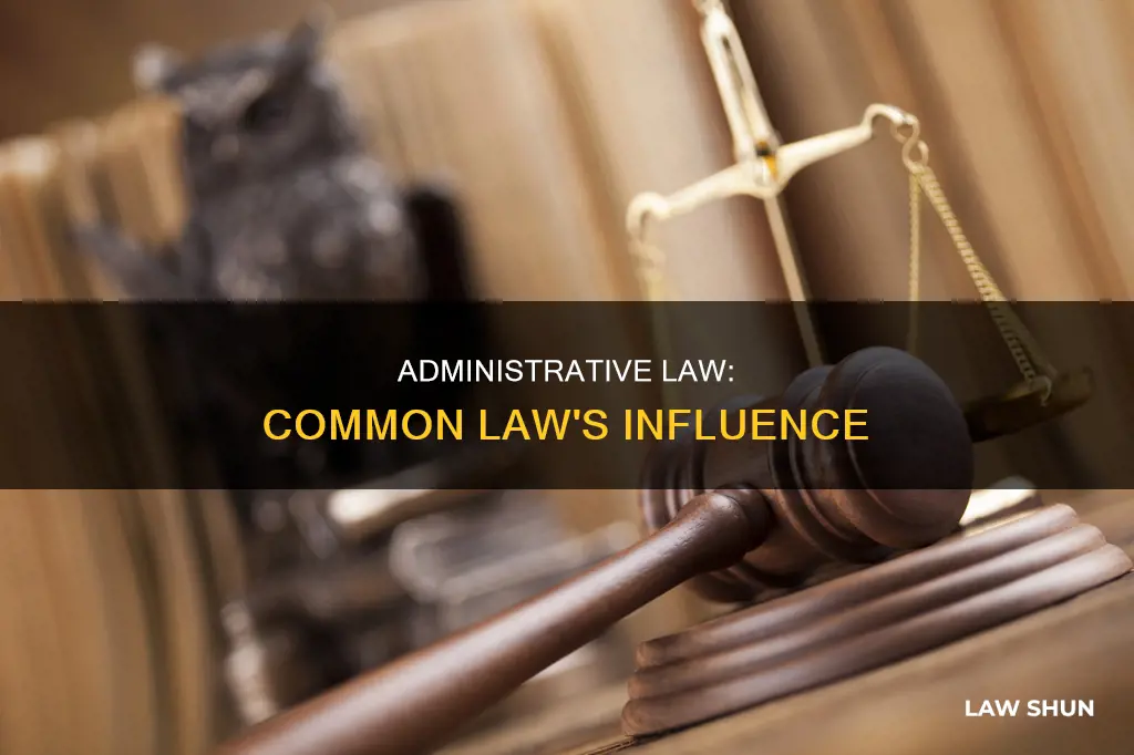is administrative law common law