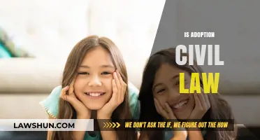 Understanding Adoption Laws: Civil Procedures and Legal Framework Explained
