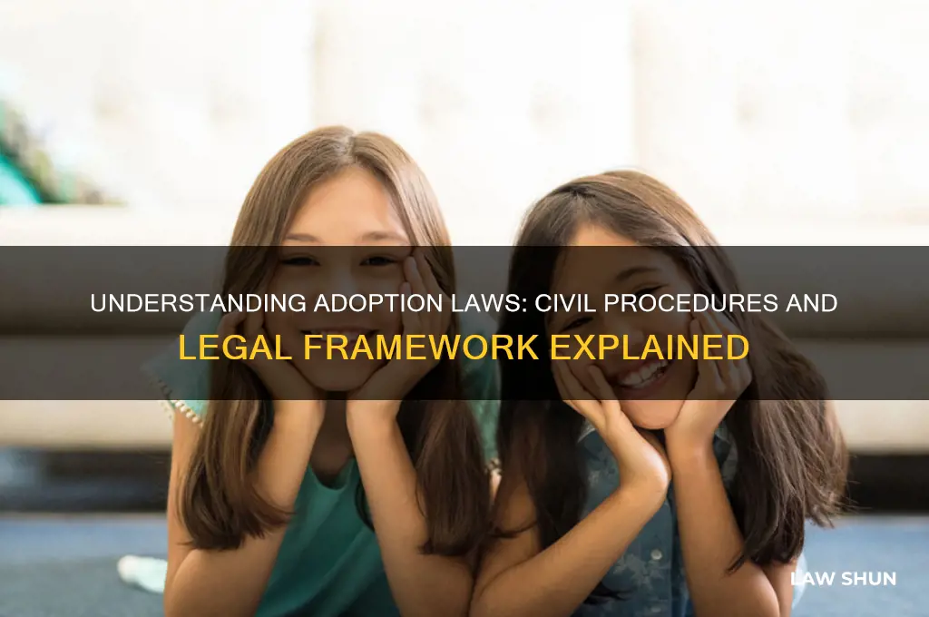 is adoption civil law