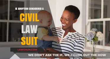 Adoption and Civil Law: Understanding the Legal Process and Rights