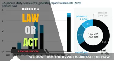 Agenda 21: Understanding Its Legal Status and Global Impact
