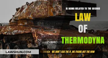 Aging and Entropy: Exploring the Link to Thermodynamics' Second Law