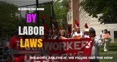 Agriculture and Labor Laws: Understanding Workers' Rights in Farming