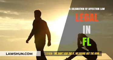 Is Alienation of Affection Law Legal in Florida?