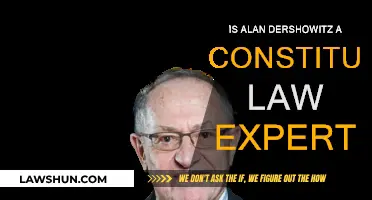 Is Alan Dershowitz a True Constitutional Law Expert?