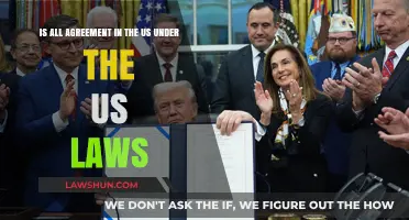 Are All US Agreements Governed by US Laws? Key Insights