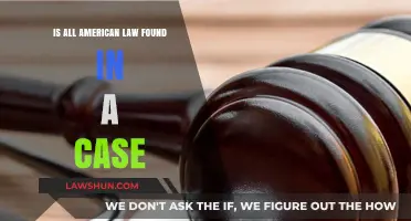 Case Law: The Foundation of American Legal System?