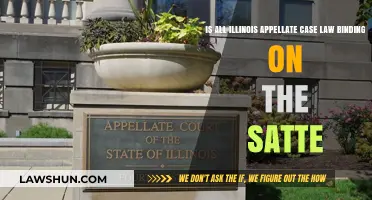 Appellate Case Law: Binding on Illinois?
