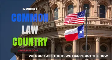 The US: A Common Law Country?