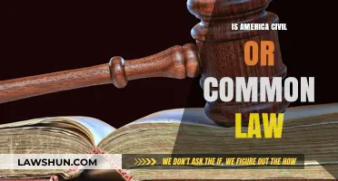 Civil or Common Law: What's America's Legal System?