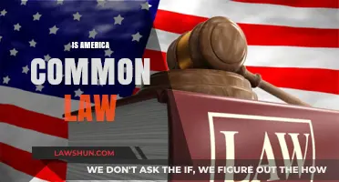 Common Law in America: What's the Deal?