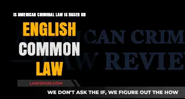 American Criminal Law: Rooted in English Common Law?
