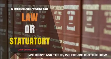Case Law vs Statutory: What is American Jurisprudence?