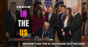 Are Acts Considered Laws in the US Legal System?