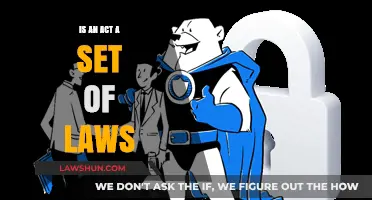 Is an Act a Set of Laws? Understanding Legal Terminology