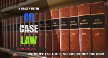Understanding Acts: Statute or Case Law?