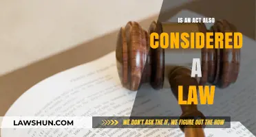 Are Acts and Laws Synonymous? Understanding Legal Terminology and Differences