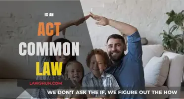 Common Law Acts: What's the Verdict?