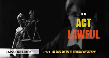 Is an Act Lawful? Exploring Legal Boundaries and Ethical Considerations
