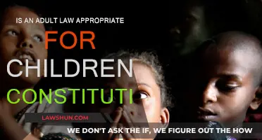 Children's Rights: Adult Law vs Constitutional Law