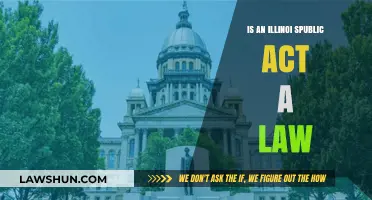 Understanding Illinois Public Acts: Are They Legally Binding Laws?
