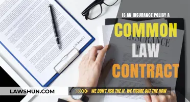 Understanding Insurance Policies: Common Law Contracts