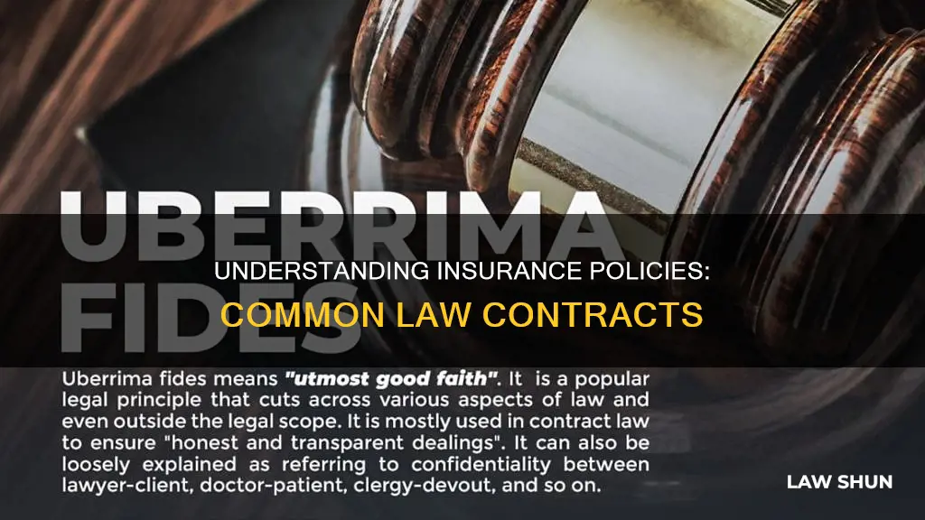 is an insurance policy a common law contract