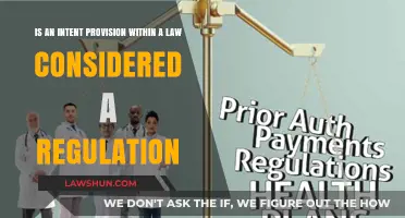 Is an Intent Provision in Law a Regulation?