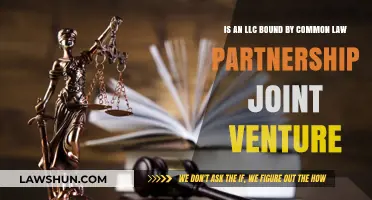LLC, Common Law Partnership, and Joint Venture: What's the Difference?