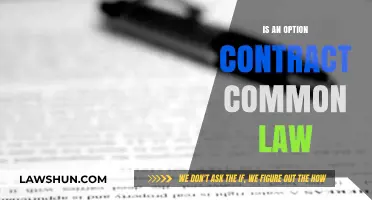 Option Contracts: Common Law or Not?