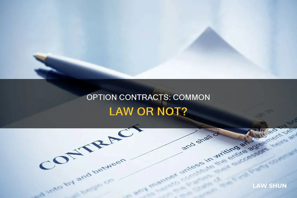 is an option contract common law