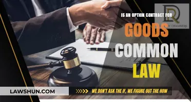 Understanding Option Contracts: Common Law Goods