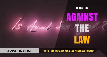 Legal Perspectives on Anal Sex: Understanding the Laws and Myths