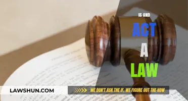 Is an Act a Law? Understanding Legal Terminology and Implications