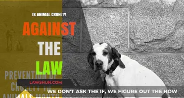 Understanding Legal Protections for Animals: Cruelty Laws Explained