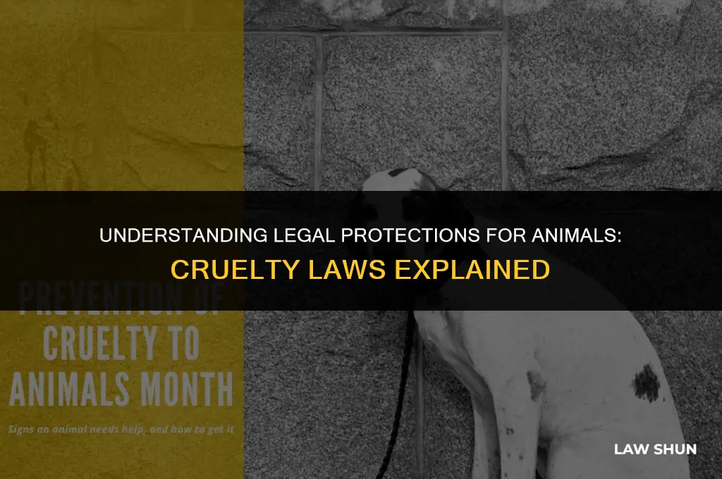 is animal cruelty against the law