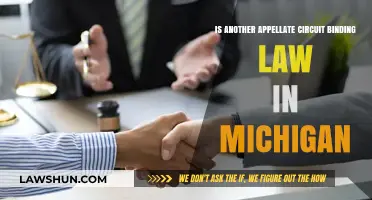 Is Another Circuit’s Ruling Binding Law in Michigan?