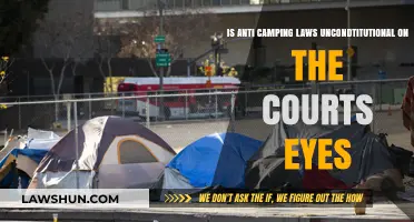 Camping Laws: Unconstitutional or a Court's Eye View?