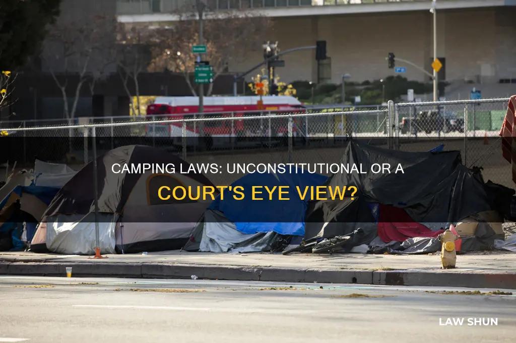 is anti camping laws uncondtitutional on the courts eyes