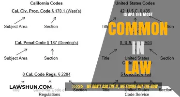 APA Format: The Standard Style in Legal Writing