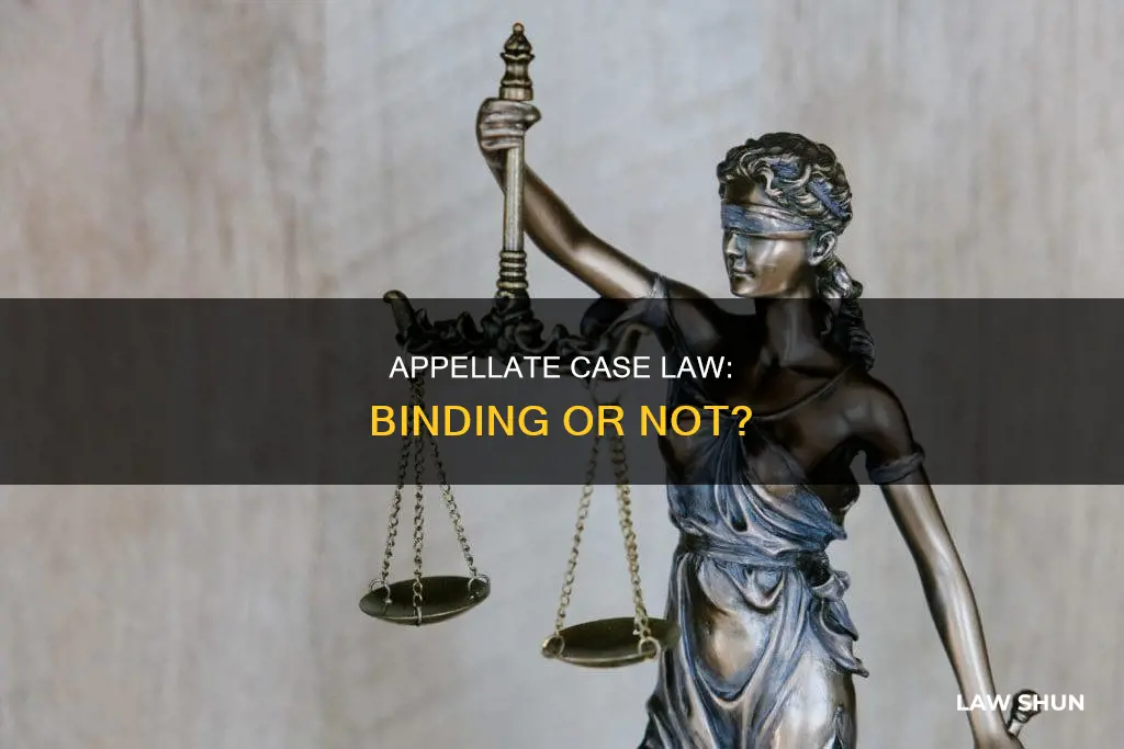 is appellate case law binding