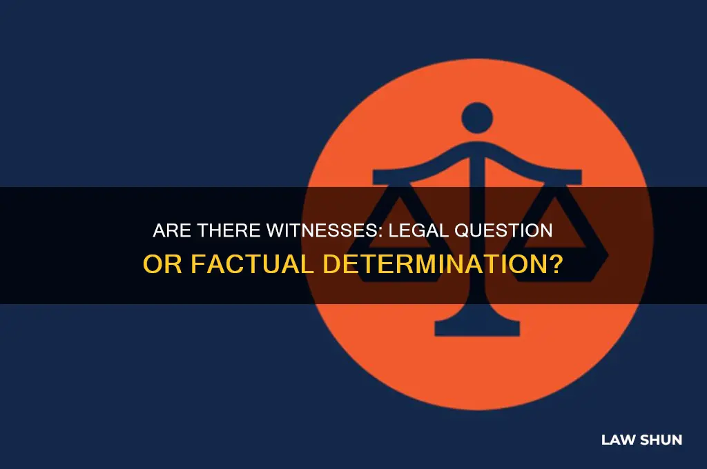 is are there witnesses a question of law or face