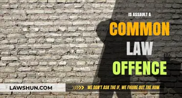 Assault: Common Law Offence and its Modern Applications