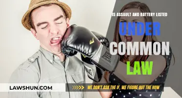 Assault and Battery: Common Law Classifications