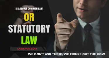 Understanding Assault: Common or Statutory Law?