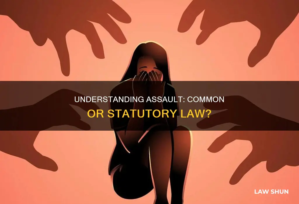 is assault common law or statutory law