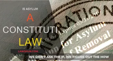 Asylum Seekers: What Does the Constitution Say?