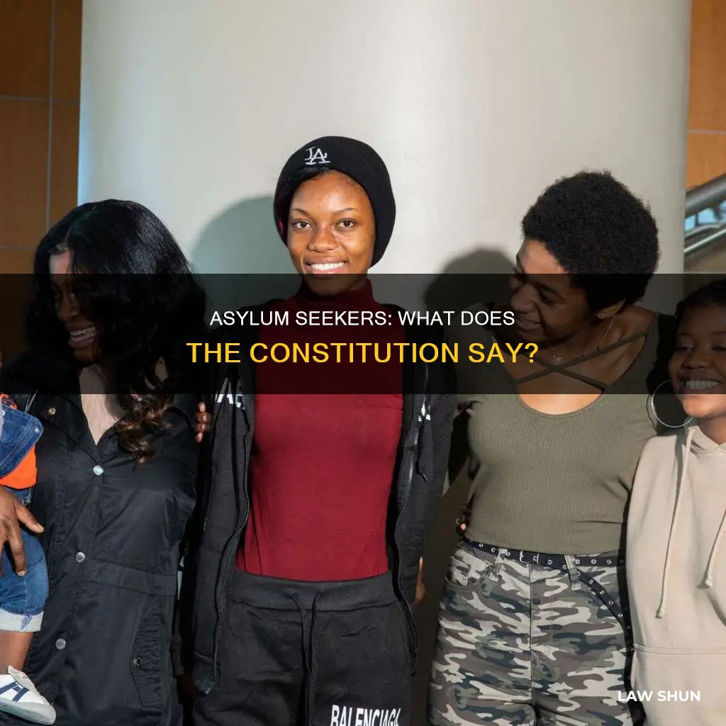 is asylum a constitutional law
